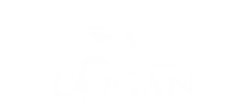 DOĞAN GRUP